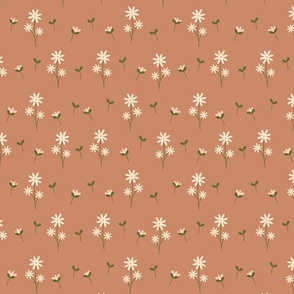 Lovely Dainty Daisies on Beige