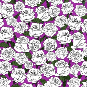 White Roses on Purple Katie Kable