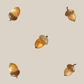 LARGE Scale - Watercolor Acorn Nuts on Neutral Cream Background