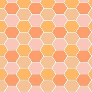 SMALL Modern Geometric Honeycomb - Orange and Pink 