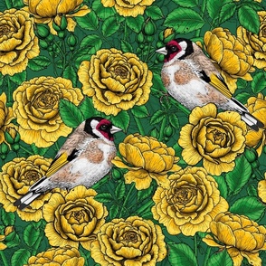 Yellow Rose flowers and goldfinch birds
