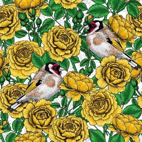 Yellow Rose flowers and goldfinch birds