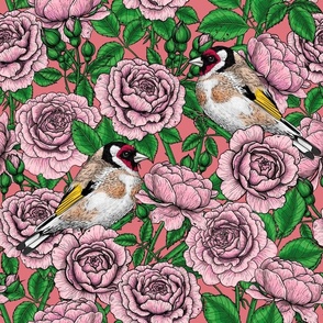 Pink Rose flowers and goldfinch birds