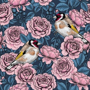 Pink Rose flowers and goldfinch birds