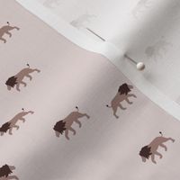 Little ditsy Lions roaming around - Minimalist lion wild animals design neutral beige 