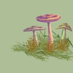 Mushroom Cascade,  Hero, moss