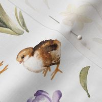 Meduim Scale / Easter Chick Hen Egg Spring Flower / White Background