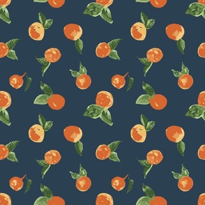 Orange Delight with Dark Background (medium)
