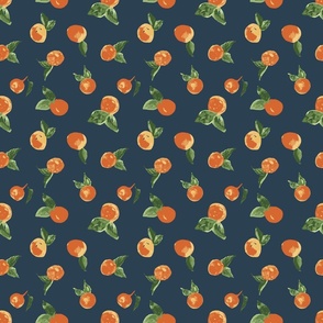 Orange Delight with Dark Background (small)