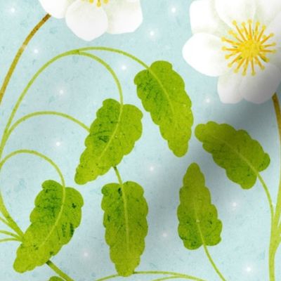 Mountain Avens Mint Large Scale