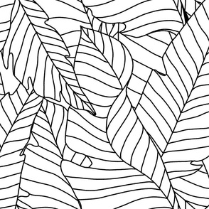 Line Art Leaves - Black and White - Large