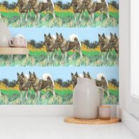 Norwegian Elkhounds 3 fabric