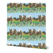 Norwegian Elkhounds 3 fabric