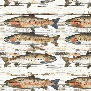 Lake Trout Over Weathered off White Barnwood: Rustic Angler's Cabin by the Lake, Outdoors Camping Wood Fish Wallpaper, Vintage Aesthetic