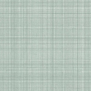 Natural Hemp Checks Grasscloth Texture Benjamin Moore _Sage Tint Green Gray Blue BFCDC2 Subtle Modern Abstract Geometric