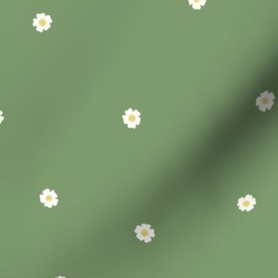 White Flower Dots, Med Tossed Dot Floral Pattern, White and Yellow Flowers, Sage Green Background