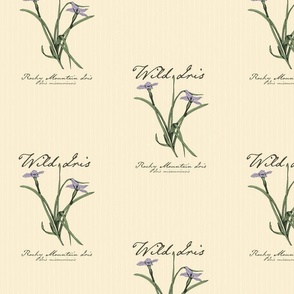 Rocky Mountain Wild Iris