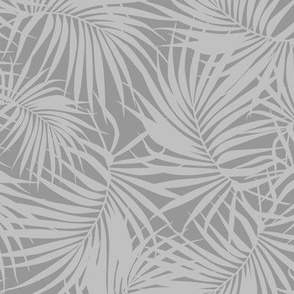 Grey Palm Fronds, Gray Tropical Leaves 