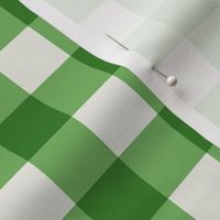 Bud Green Gingham Check Medium Pattern - Classic Country Chic Fresh and Modern Textile Design for Home Decor and Apparel