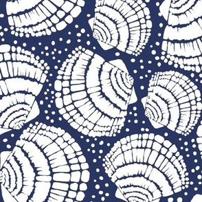 Seashells and Dots - White and Navy Blue Coastal Themed Print