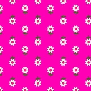 Marching Daisies in Hot Pink (mini print)