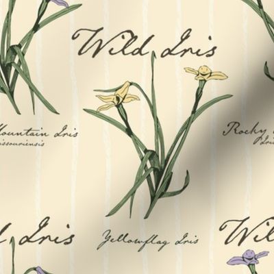 Botanical Wild Irises