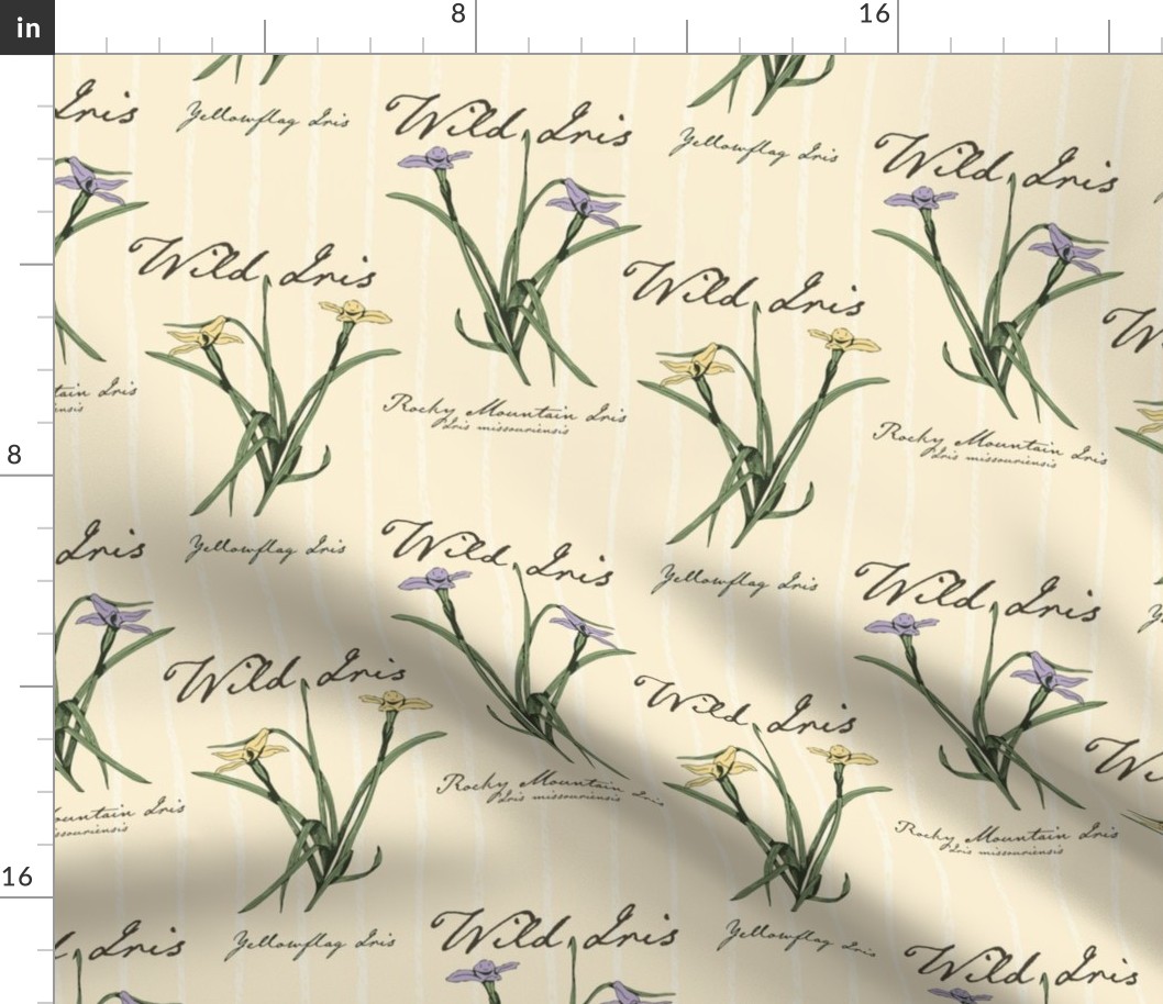 Botanical Wild Irises