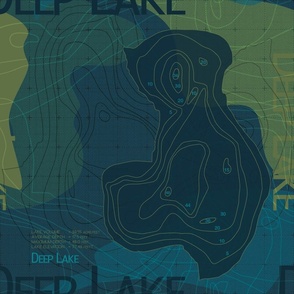 Deep Lake Map Pillow