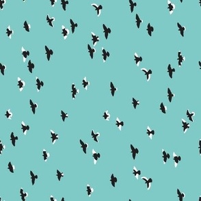 flock of birds