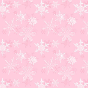 Pink Frost