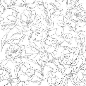 Hand Drawn Vintage Peony Floral