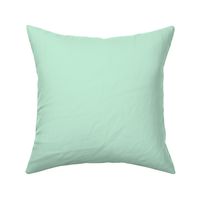 Basic Pastel Seafoam Pearl Blue Greenstel  Solid Fabric - Hex code  c3edd7  Coordinate Color