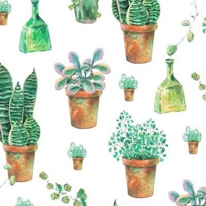 Vintage house plants, botanical watercolor