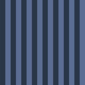 Blue Nova Medium Stripes 