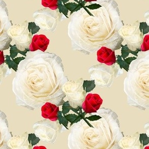 Red and white rose on cream