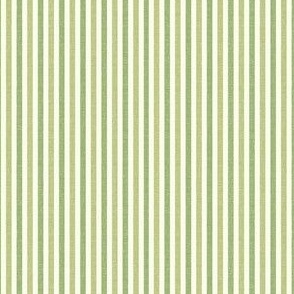 Stripes in  Green