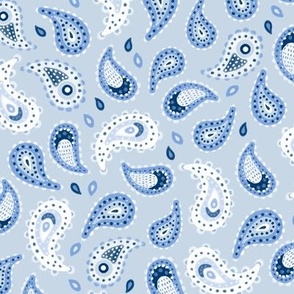 MEDIUM Modern Hand-Drawn Imperfect Textured Doodle Decorative Paisley on aLight Blue Background 