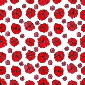 Red Poppy  Floral