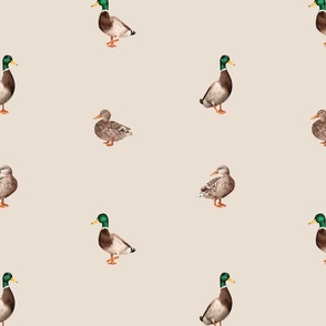 Mallards (Smaller Ducks Version)