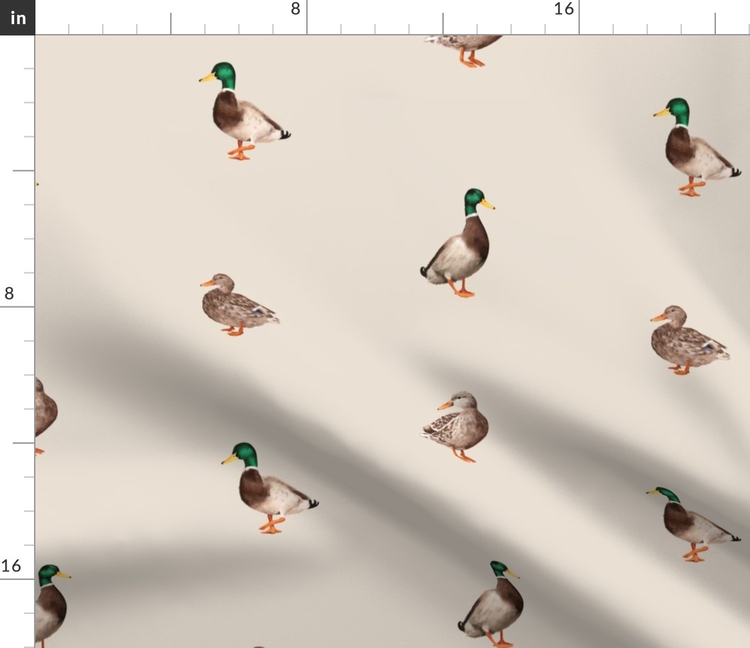 Mallards (Smaller Ducks Version)