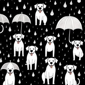 Rain dog 