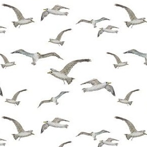 Swarm of Gulls