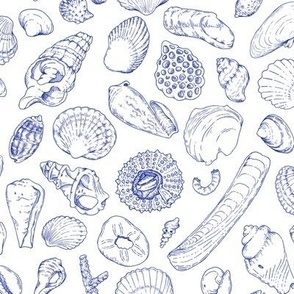 Seashells blue on white line art