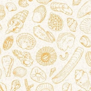 Seashells yellow with texture line art