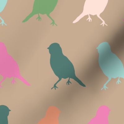 Chromatic Aviary - 16" Large / Colorful Bird Silhouettes