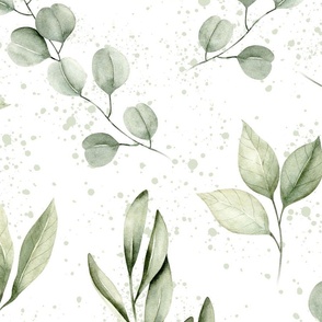 jumbo // watercolor eucalyptus, olive leaf,  greenery, leaves, plants, foliage on white with paint splatter // edition 2
