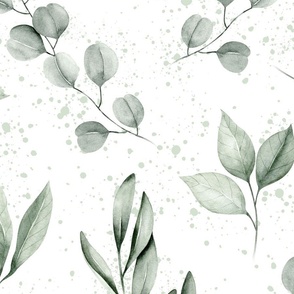 jumbo // watercolor eucalyptus, olive leaf, greenery, leaves, plants, foliage on white with paint splatter // edition 1