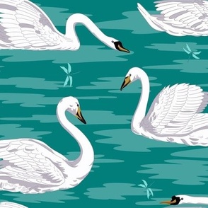 White Swans 2
