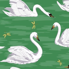 White Swans 3