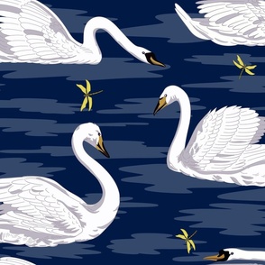 White Swans 4